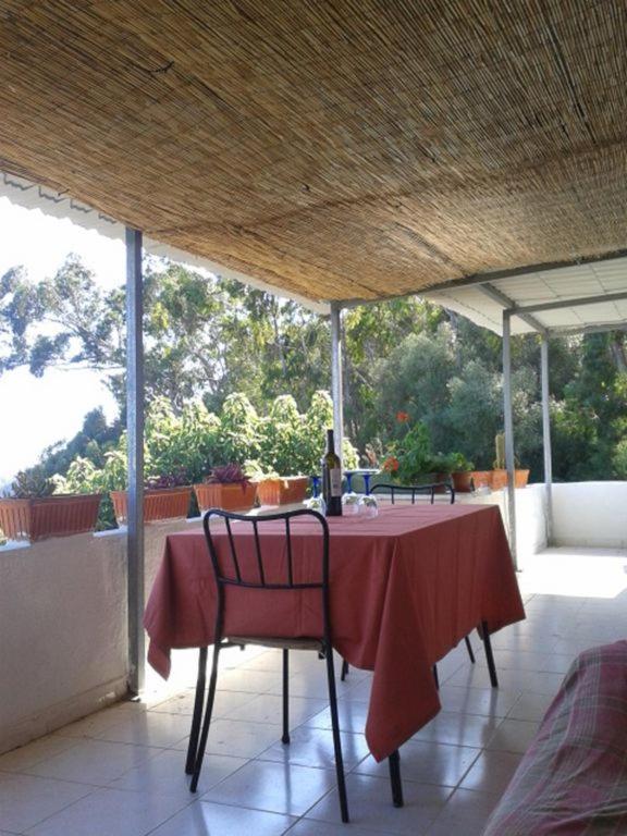 Casa Do Avo Teixeira Villa เซซิมบรา ภายนอก รูปภาพ