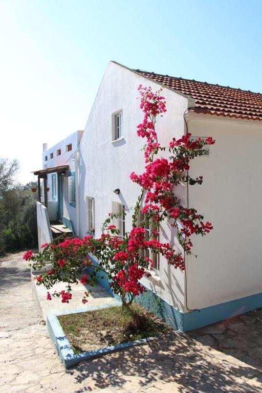 Casa Do Avo Teixeira Villa เซซิมบรา ภายนอก รูปภาพ
