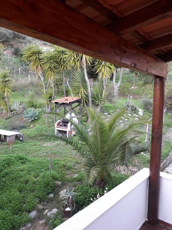 Casa Do Avo Teixeira Villa เซซิมบรา ภายนอก รูปภาพ